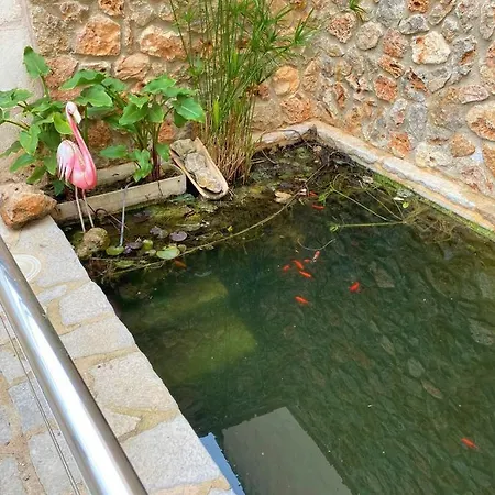 Holiday home Ideal Mallorca - Cal Tio *